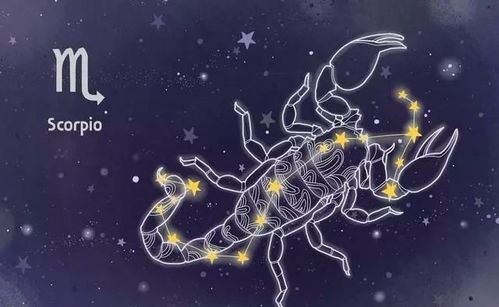 挽回天蝎的说辞,用说辞挽回天蝎：成功不是唯一标准