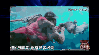 开枪能挽回企鹅么,枪击能否救活企鹅？