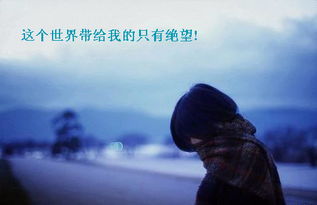 别人死心了怎样挽回,如何挽回已经放弃的感情