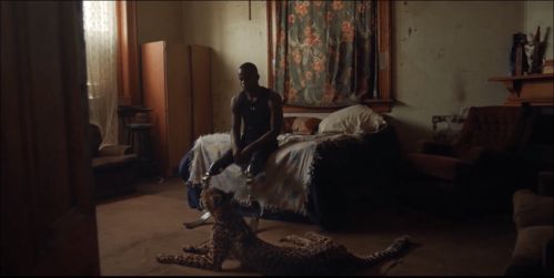 嘉杰挽回形象视频,嘉杰力挽狂澜视频重现新生