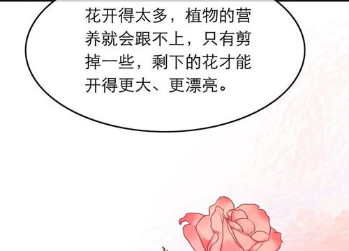 挽回女友的话文案高级,挽回女友的有效沟通技巧)