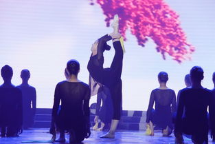 形容挽回晚会的句子,挽回晚会：从失误到新生