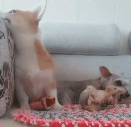 挽回朋友的语句撒娇,不要生气啦~来，和好吧！