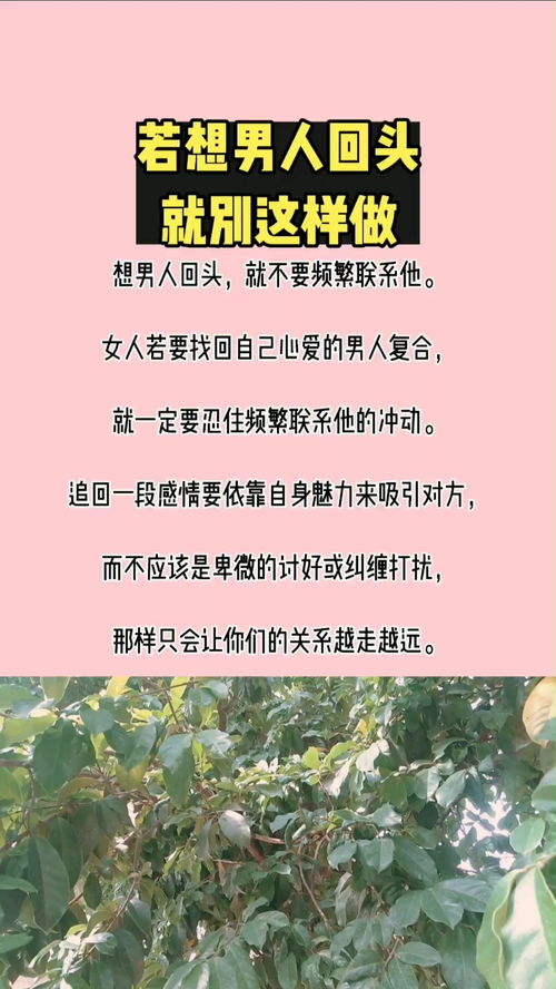 感情挽回婚姻法,如何用婚姻法成功挽回感情？