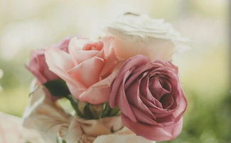 挽回时可以送花吗,如何在挽回爱情中运用鲜花？