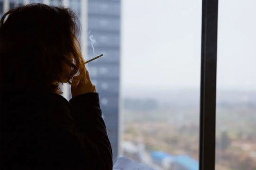 挽回文艺女青年,重生爱好者：寻回文艺女青年