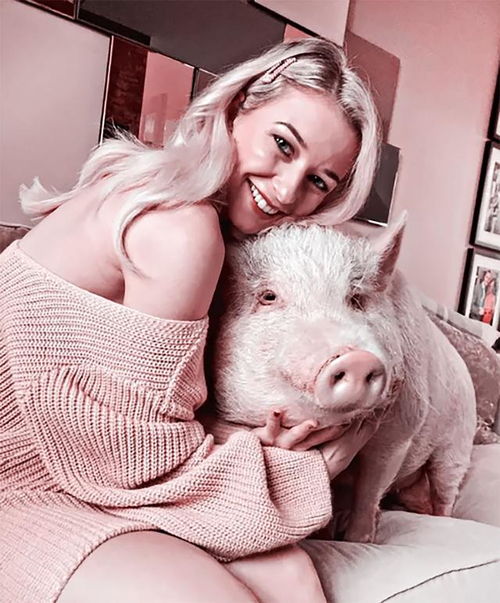 女人如何挽回属猪男友,挽回猪男友的有效方法