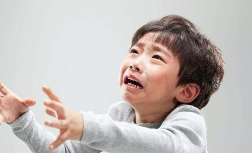 胖男孩哭着挽回男友,哭着挽回男友的胖男孩