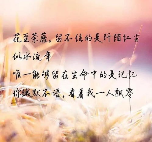 小说没有挽回慕时,错过，慕时今生不再相遇