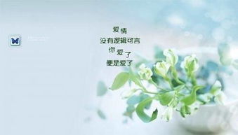 挽回的伤心句子,挽回爱情痛苦深，重拾幸福靠耐心