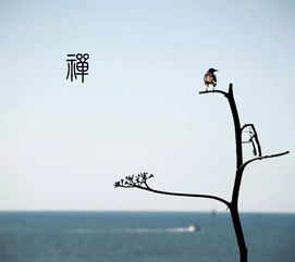 挽回不了的只能祝福,挽回无望，只好祝福