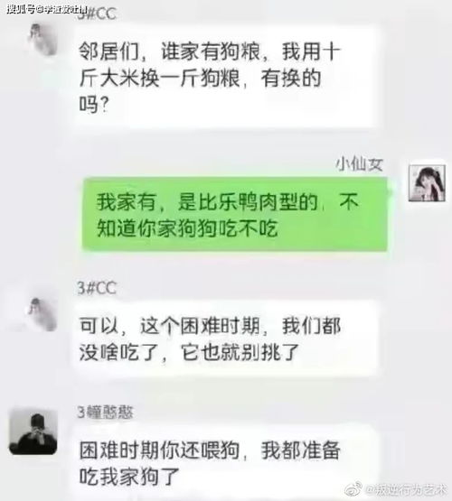 怎么发消息挽回前任,如何挽回前任？技巧大揭秘！
