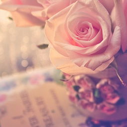 外遇后怎么挽回婚姻,外遇后如何拯救婚姻