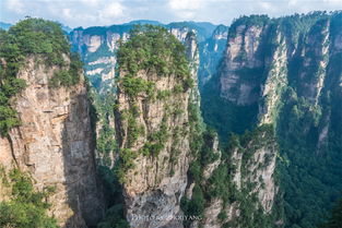 张家界挽回之家,张家界挽回计划