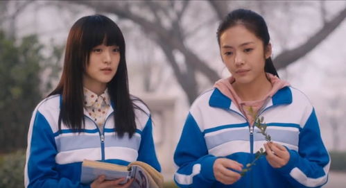 匆匆那年方茴挽回,方茴匆匆那年的爱情传奇