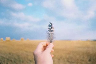 如果还能挽回的话英语,如有挽回余地，新标题为何？