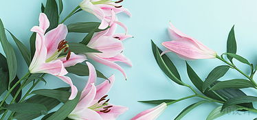 挽回做局需要多久,挽回感情需要多久时间？