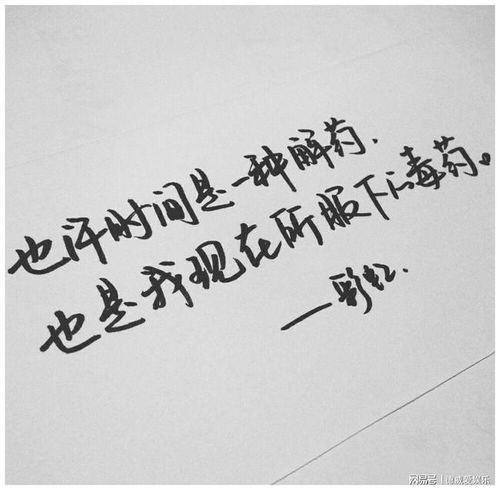 歌曲不挽回没回头,重新开始，不后悔彼此选择