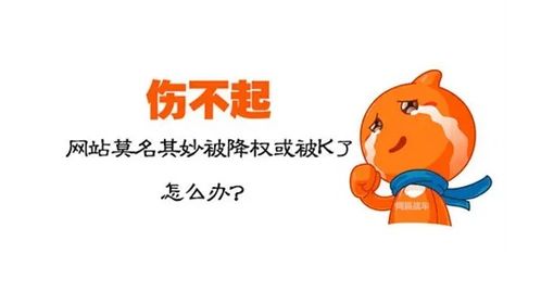 被降权怎么挽回，如何恢复被降权的网站排名？