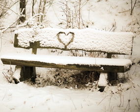 小鹿能挽回情感吗,小鹿还能救回爱情吗