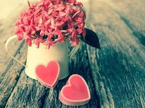 挽回男友说的话图片,挽回爱情，让他重归你怀！