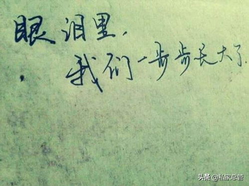 有什么歌是挽回,哪首歌能拯救感情，挽回爱情？