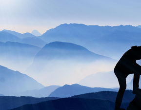 断了的亲情如何挽回，重建破碎家庭关系：找回失落的亲情