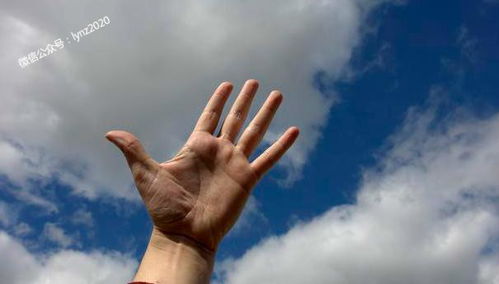 挽回失败自己受伤,如何应对挽回失败的痛苦？