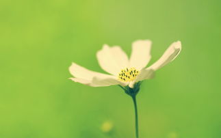 男人找新欢的挽回,如何挽回男人的爱情