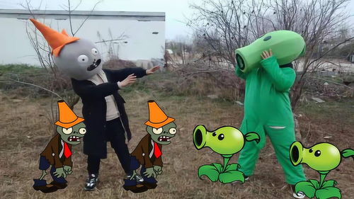 用豌豆射手挽回豪宅,豌豆射手逆袭挽回豪宅