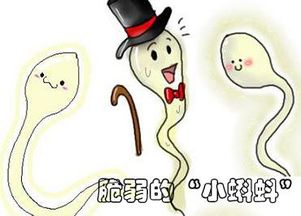 怎样可以挽回畸形胎儿，教你如何化风险为机遇，改善畸形胎儿命运