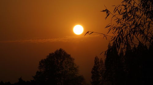 济宁朝花夕拾情感挽回,济宁夕阳红，言归原美好