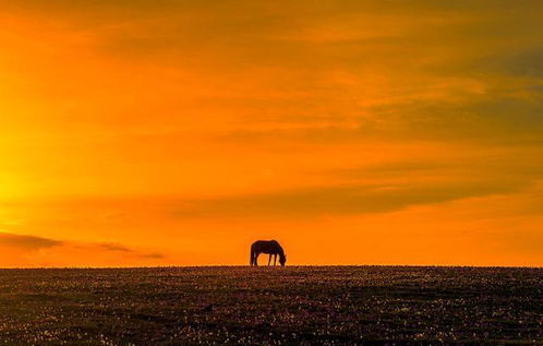 气势输了该怎么挽回,巨大的颓败感，应该如何化解？)