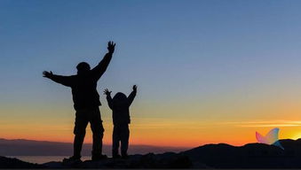 暧昧期突然冷淡挽回,冷漠？教你应对暧昧期的挫折，让关系更加美好！