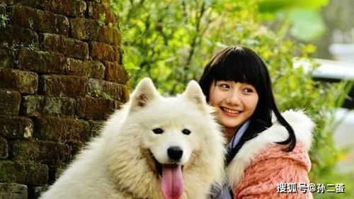 狮子分手挽回女朋友,狮子用心挽回分手女友