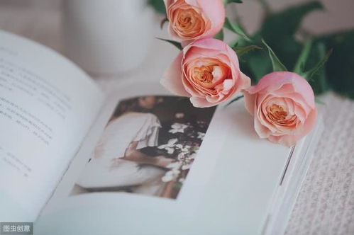 礼物能挽回情人吗,礼物能否挽回失去的爱情