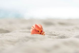 挽回巨蟹座示弱,挽回巨蟹座的心灵