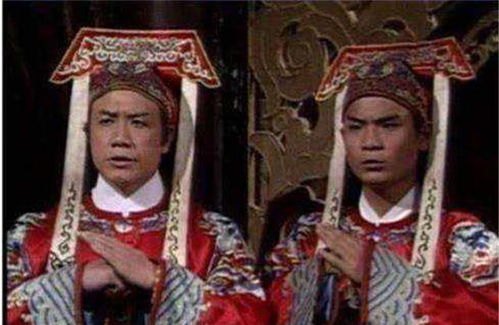 包拯挽回嫂子全集,《包拯挽回嫂子全集》重聚庭院