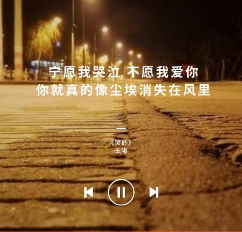 表达分手挽回的歌,挽回分手，唱响心声