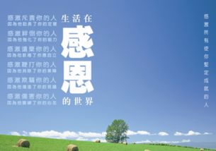 挽回友谊的名言,续写友谊的篇章