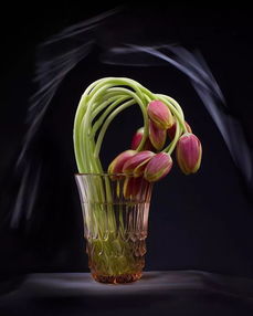 失恋挽回花束图片女,失恋挽回：花束重回她身旁