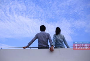 闹分手挽回500字,挽回爱情500字