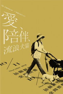 海报画错了怎么挽回,错画海报如何挽回？新标题：补救计划大揭秘！