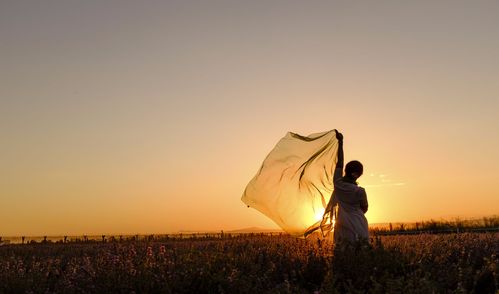 放弃和挽回的感情,放下与重拾，情感抉择