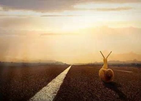 别等挽回不了了,放手吧，挽回无望