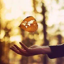 只为挽回脚步的歌,挽回的歌，唯愿脚步不停歇