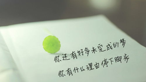 被甩想要再挽回,失去后再次争取，挽回重聚