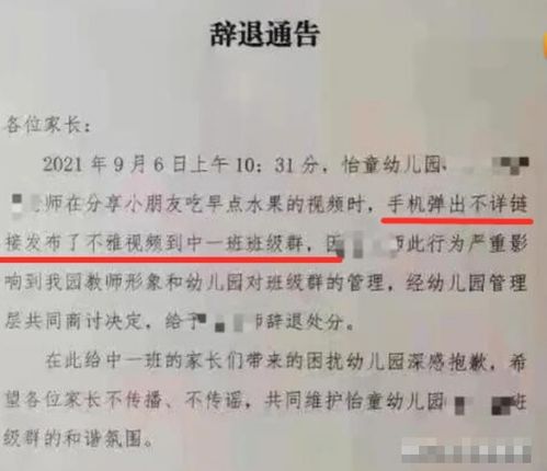 选民不能挽回的错误,选民不可更正的错误