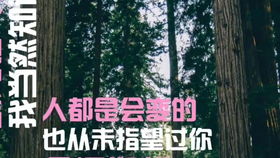 挽回女友爱情视频,挽回爱情：男子制作视频感动女友