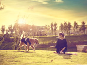 希望能挽回你,如何挽回失去的爱情